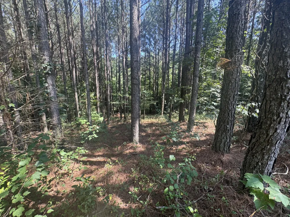 0 Spring Place Road SE Cleveland, TN 37323