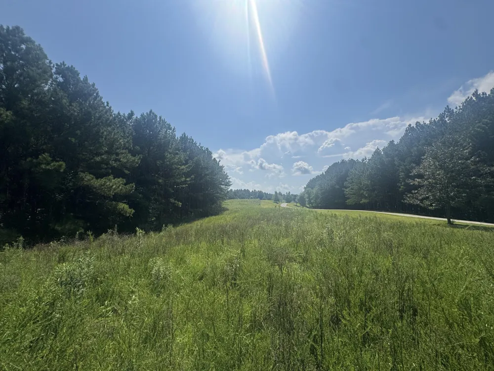 0 Spring Place Road SE Cleveland, TN 37323