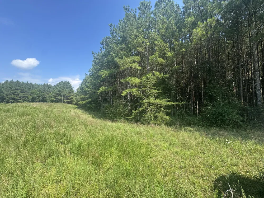 0 Spring Place Road SE Cleveland, TN 37323