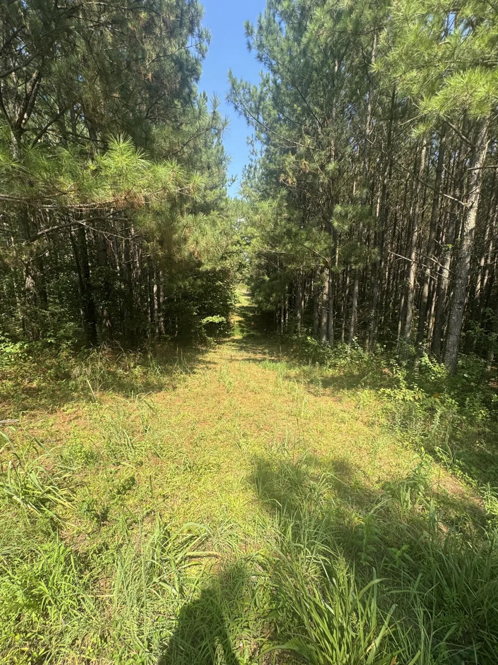 0 Spring Place Road SE Cleveland, TN 37323