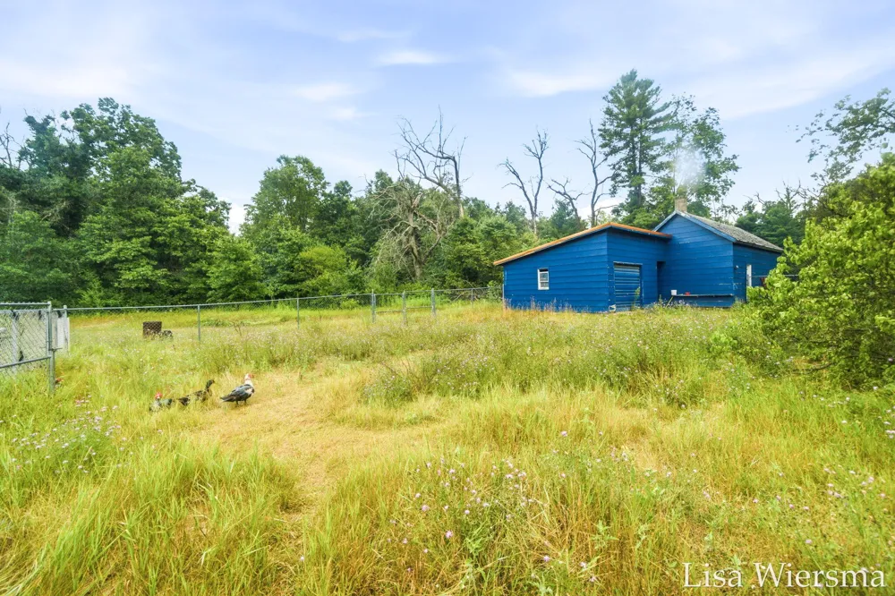 4393 E 8th Street Everett Township, MI 49349