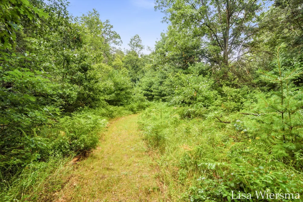 4393 E 8th Street Everett Township, MI 49349