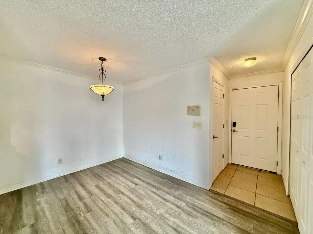 3311 HAVILAND COURT #204 Palm Harbor, FL 34684