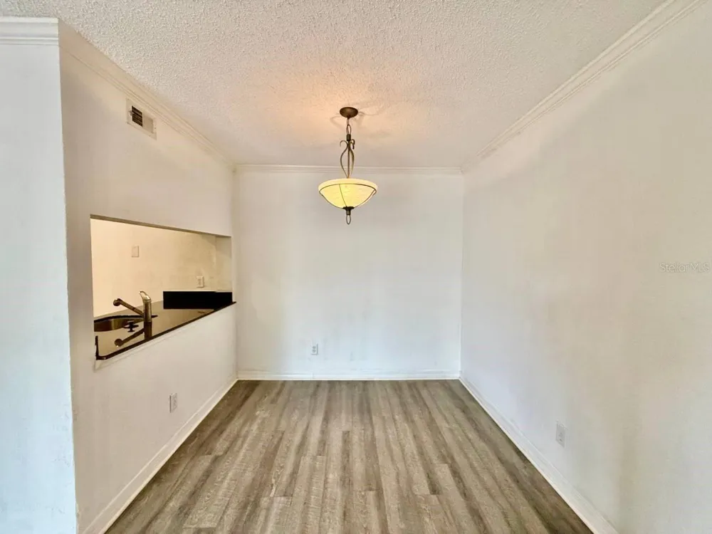 3311 HAVILAND COURT #204 Palm Harbor, FL 34684