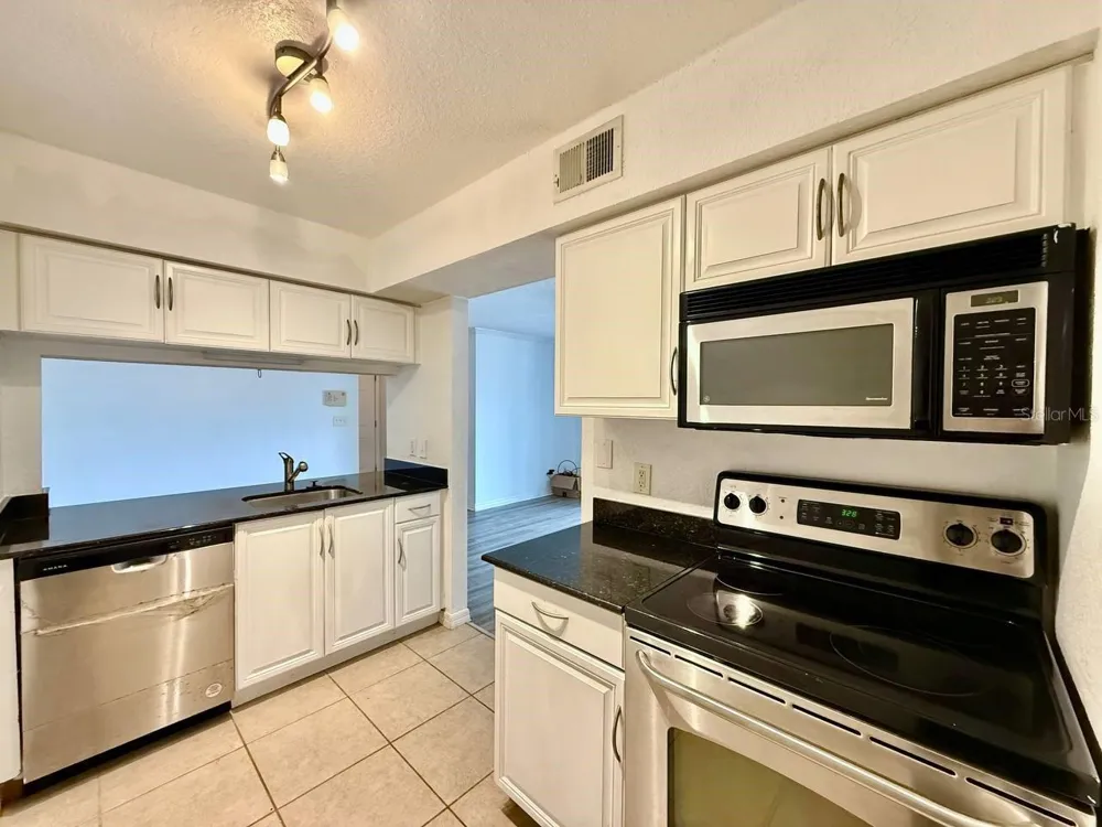 3311 HAVILAND COURT #204 Palm Harbor, FL 34684