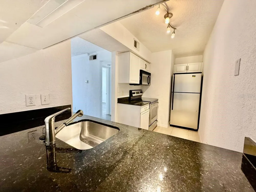 3311 HAVILAND COURT #204 Palm Harbor, FL 34684