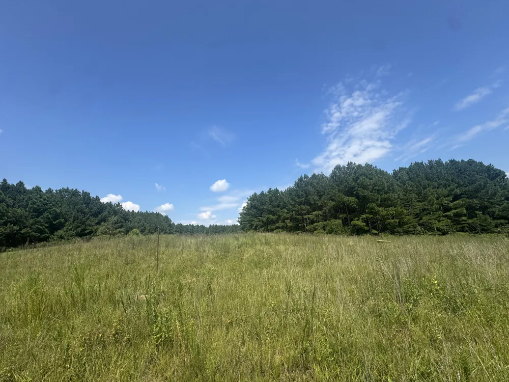 Spring Place Road SE Cleveland, TN 37323