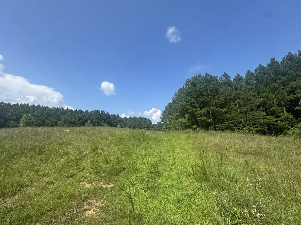 Spring Place Road SE Cleveland, TN 37323