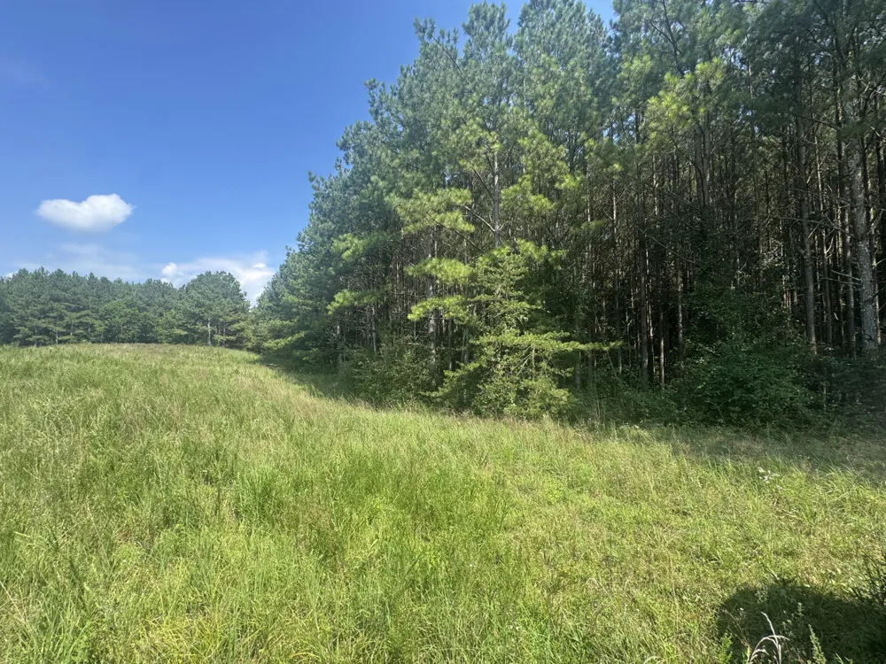 Spring Place Road SE Cleveland, TN 37323