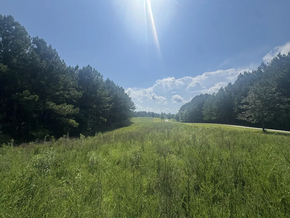 Spring Place Road SE Cleveland, TN 37323