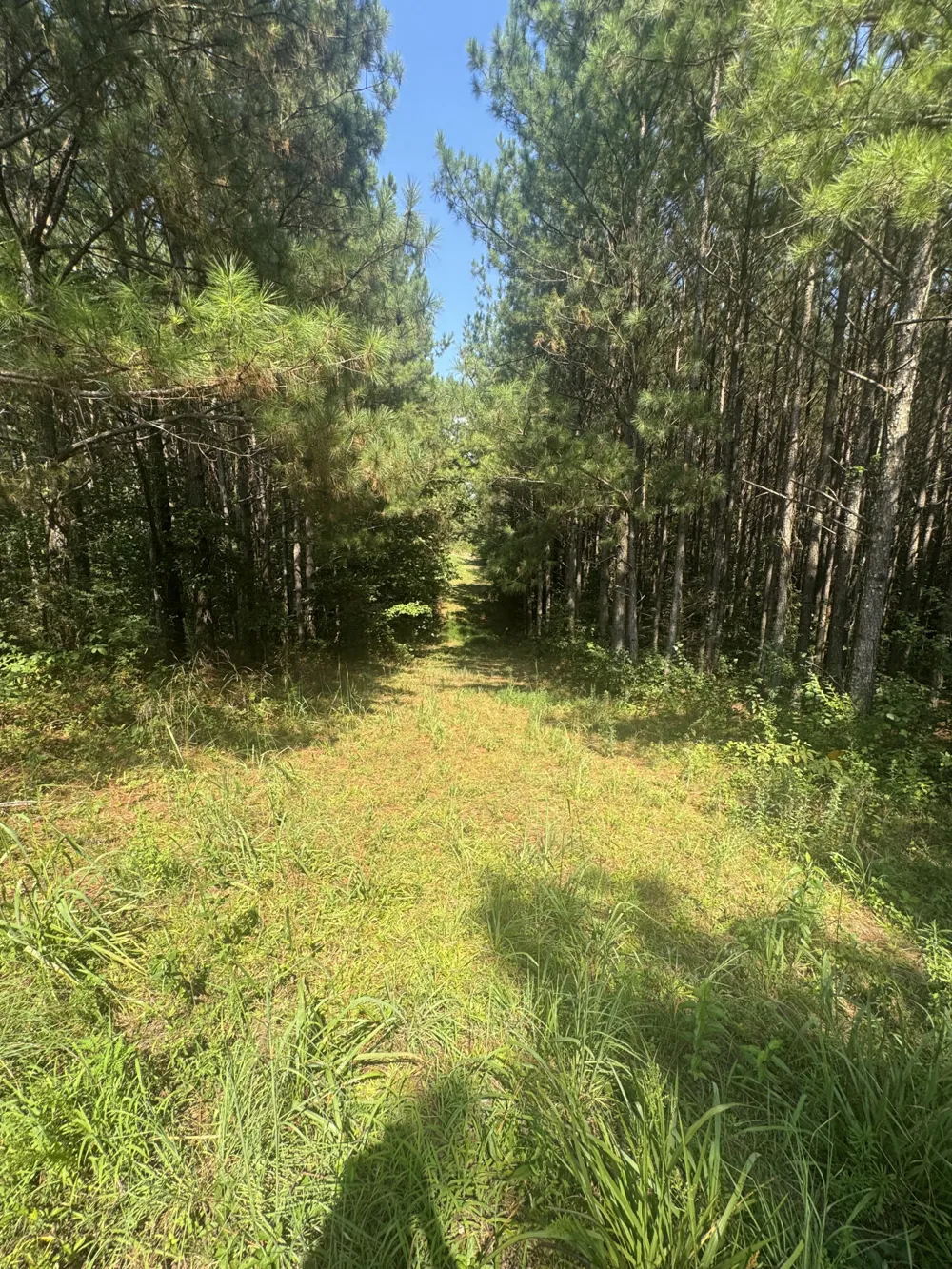 Spring Place Road SE Cleveland, TN 37323