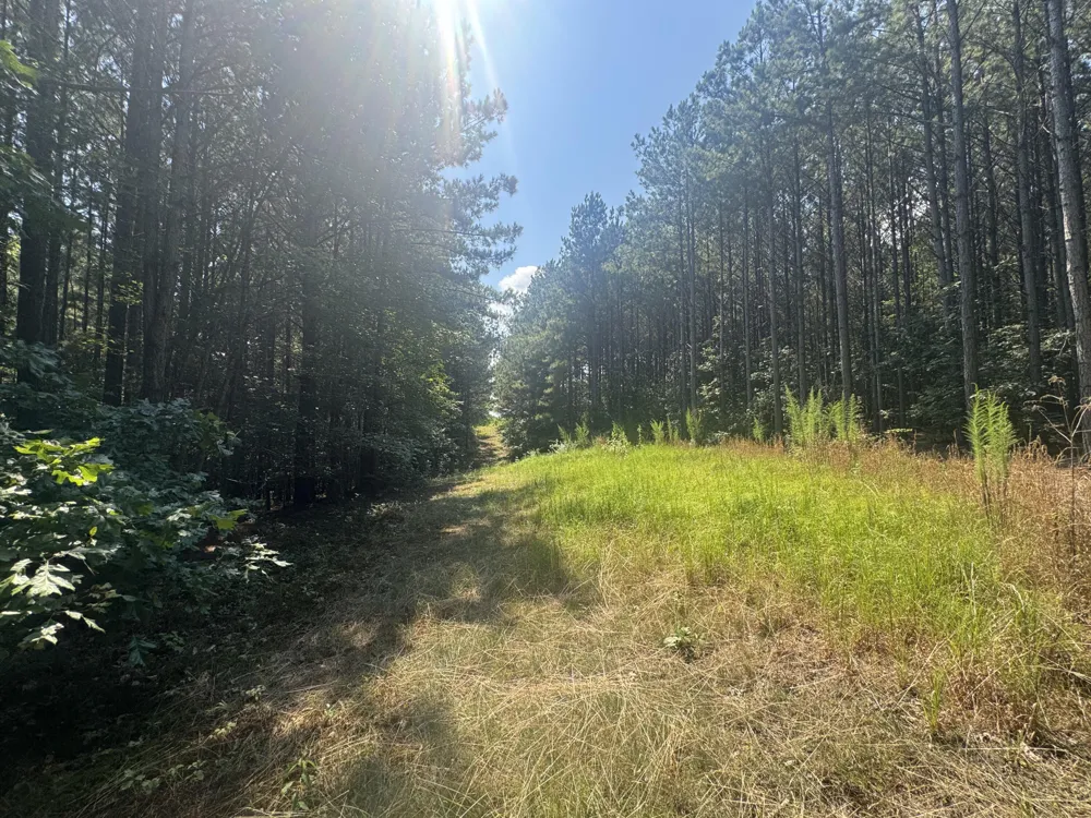 Spring Place Road SE Cleveland, TN 37323