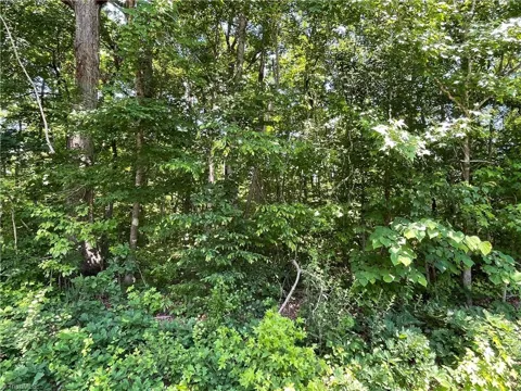 0000-1 Shady Lane
