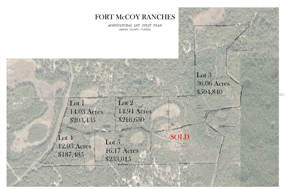 TBD NE 150TH AVE ROAD #LOT 5 Fort Mc Coy, FL 32134