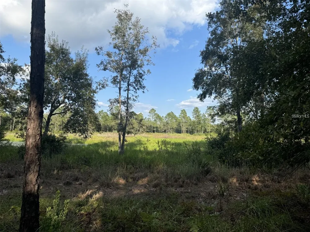 TBD NE 150TH AVE ROAD #LOT 5 Fort Mc Coy, FL 32134