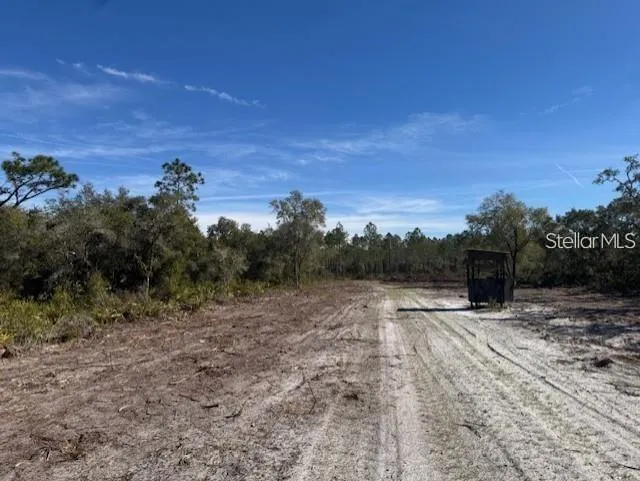 TBD NE 150TH AVE ROAD #LOT 5 Fort Mc Coy, FL 32134