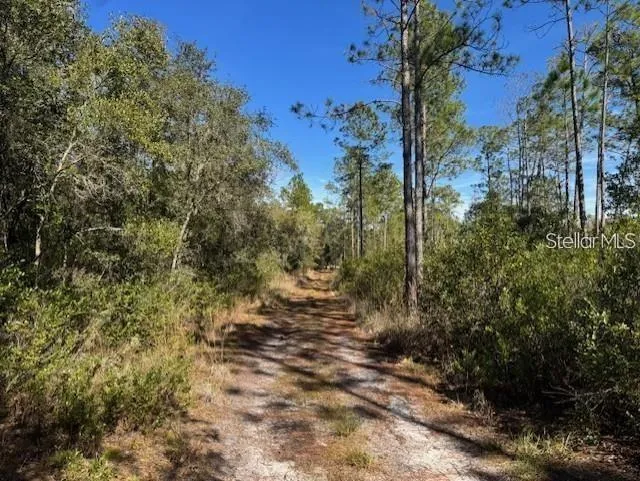 TBD NE 150TH AVE ROAD #LOT 5 Fort Mc Coy, FL 32134