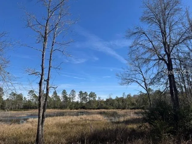TBD NE 150TH AVE ROAD #LOT 5 Fort Mc Coy, FL 32134