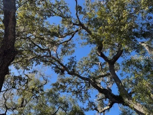 TBD NE 150TH AVE ROAD #LOT 5 Fort Mc Coy, FL 32134