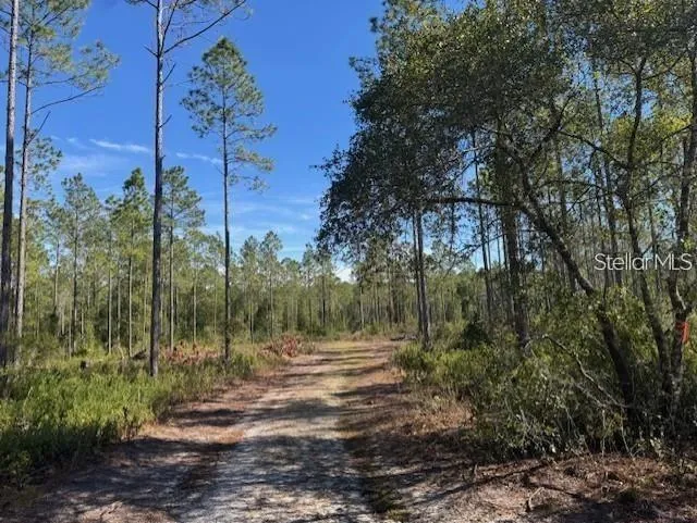 TBD NE 150TH AVE ROAD #LOT 5 Fort Mc Coy, FL 32134