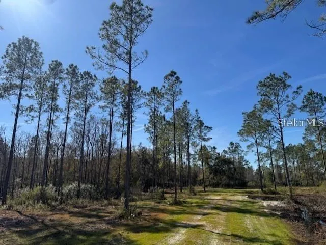 TBD NE 150TH AVE ROAD #LOT 5 Fort Mc Coy, FL 32134
