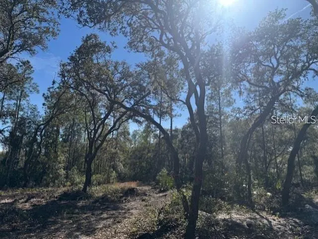 TBD NE 150TH AVE ROAD #LOT 5 Fort Mc Coy, FL 32134