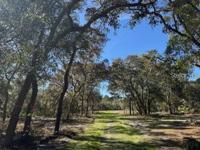 TBD NE 150TH AVE ROAD #LOT 5 Fort Mc Coy, FL 32134
