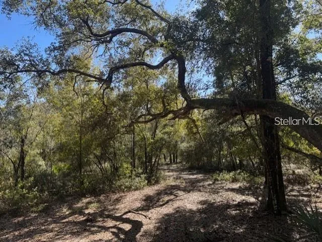 TBD NE 150TH AVE ROAD #LOT 5 Fort Mc Coy, FL 32134