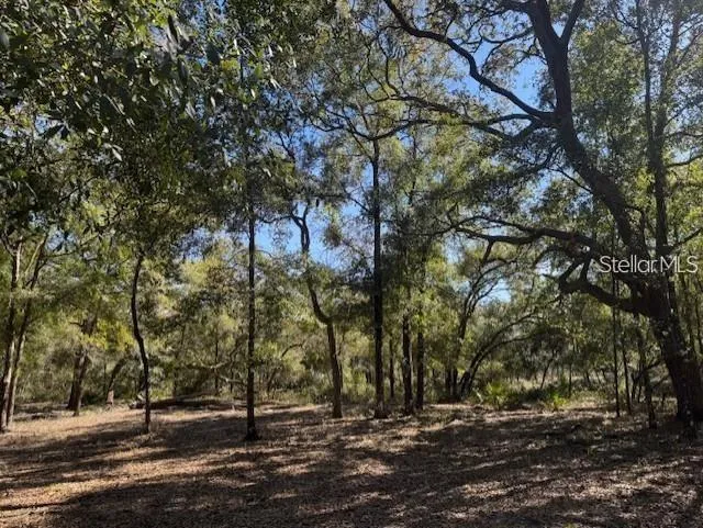 TBD NE 150TH AVE ROAD #LOT 5 Fort Mc Coy, FL 32134