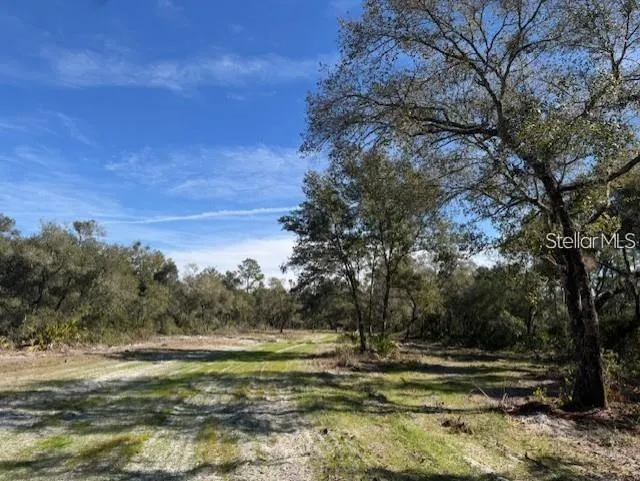 TBD NE 150TH AVE ROAD #LOT 5 Fort Mc Coy, FL 32134