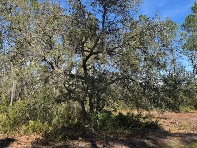 TBD NE 150TH AVE ROAD #LOT 5 Fort Mc Coy, FL 32134