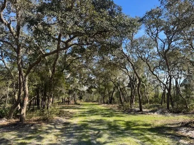 TBD NE 150TH AVE ROAD #LOT 5 Fort Mc Coy, FL 32134