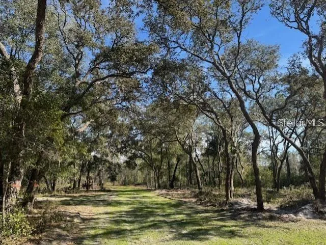 TBD NE 150TH AVE ROAD #LOT 5 Fort Mc Coy, FL 32134