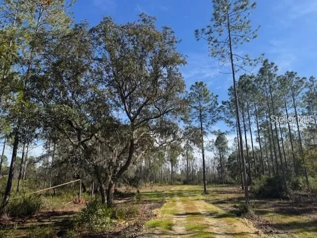 TBD NE 150TH AVE ROAD #LOT 5 Fort Mc Coy, FL 32134