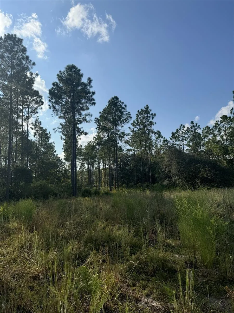 TBD NE 150TH AVE ROAD #LOT 5 Fort Mc Coy, FL 32134