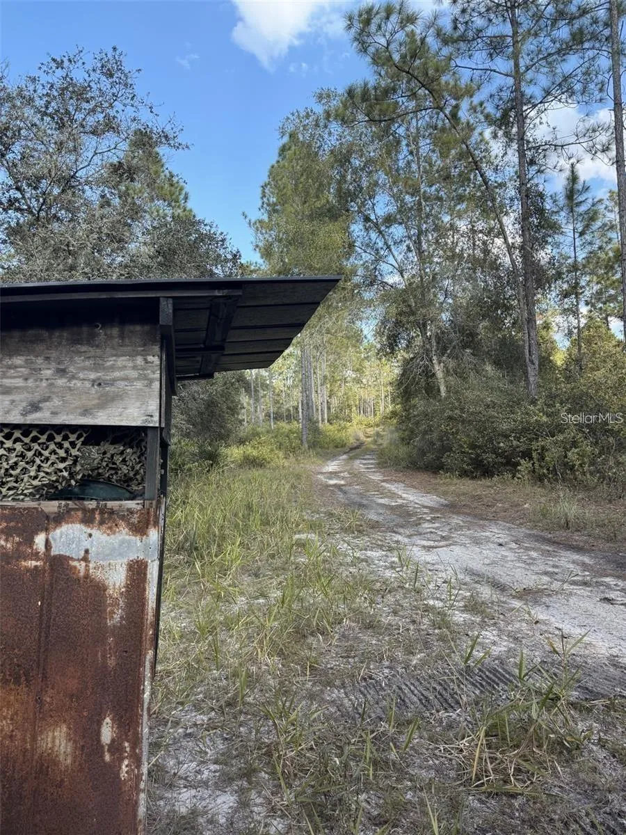 TBD NE 150TH AVE ROAD #LOT 5 Fort Mc Coy, FL 32134