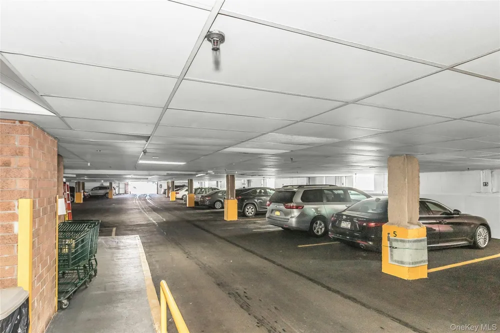 800 Willis Avenue #105 Albertson, NY 11507