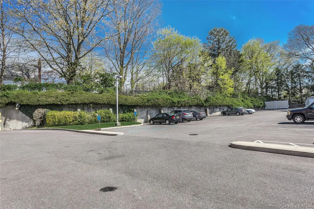 800 Willis Avenue #105 Albertson, NY 11507