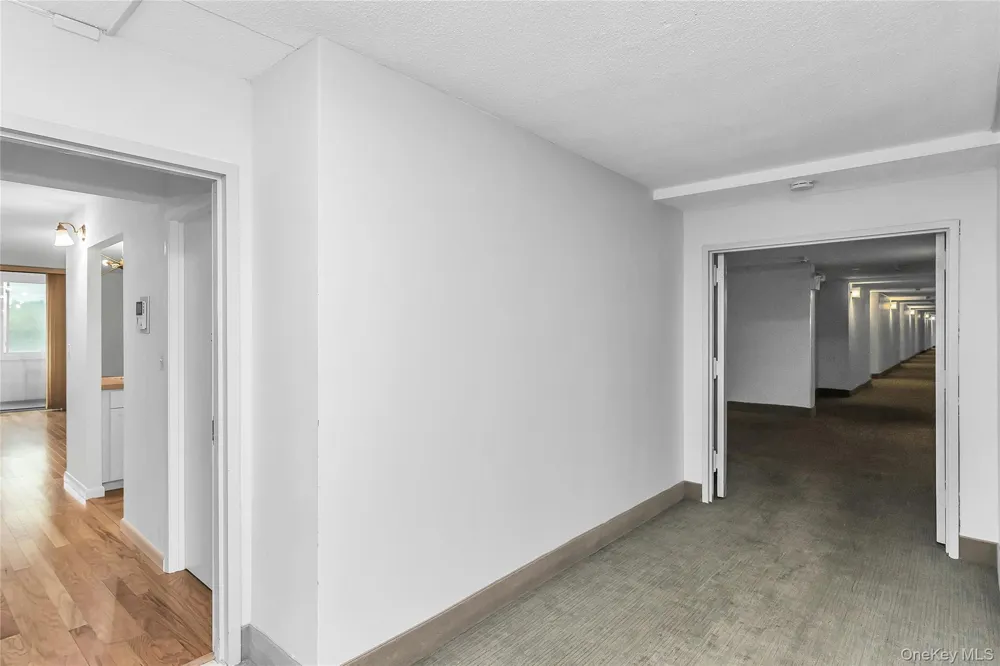 800 Willis Avenue #105 Albertson, NY 11507