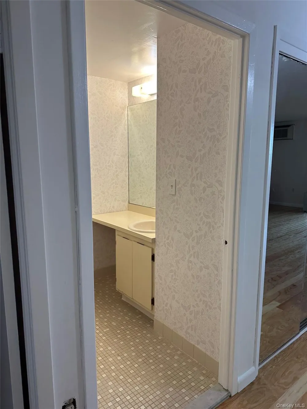 800 Willis Avenue #105 Albertson, NY 11507