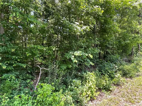 0000-2 Shady Lane