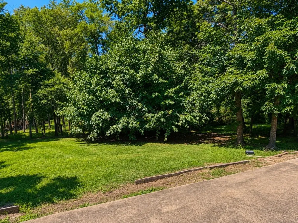 210 Holly Lake W Livingston, TX 77351