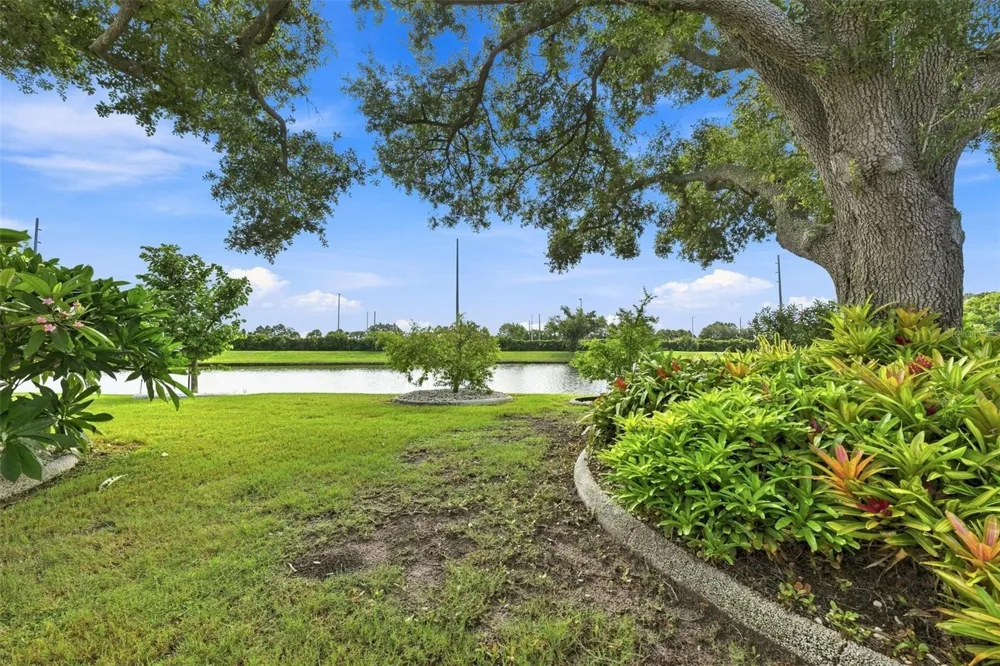 1807 E DEL WEBB BOULEVARD Sun City Center, FL 33573