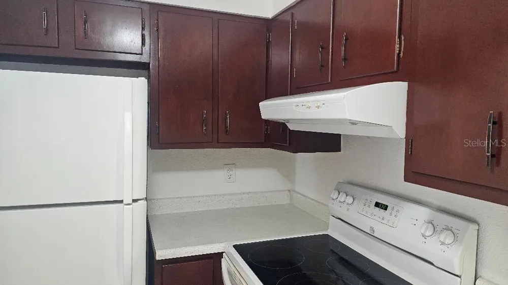 10365 PARADISE BOULEVARD #10 Treasure Island, FL 33706