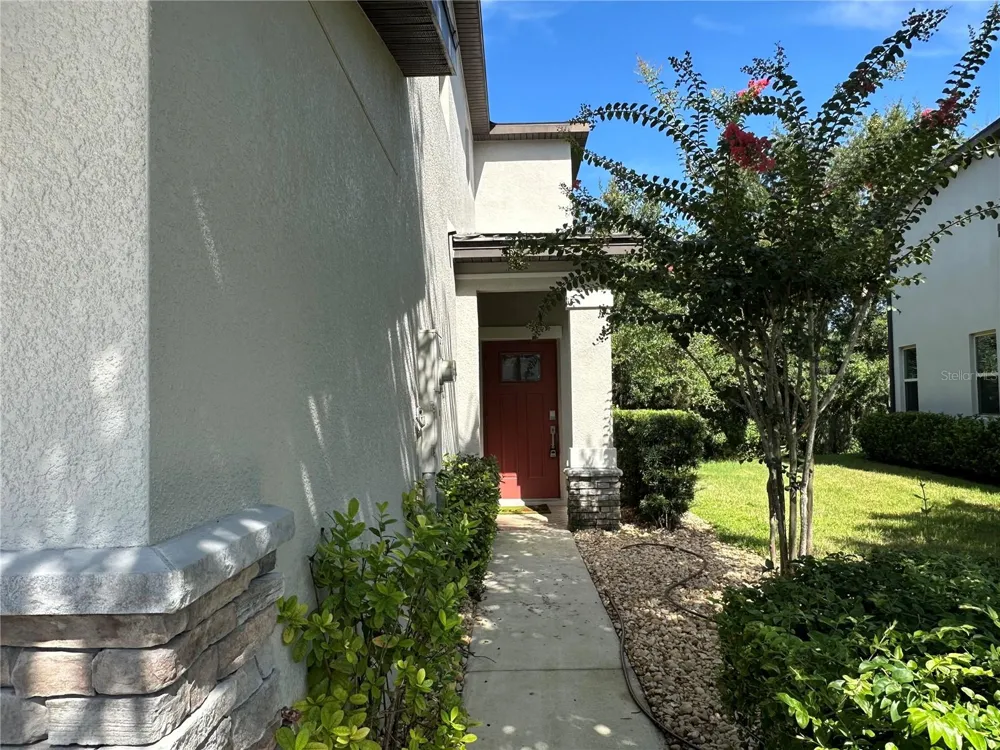 1389 WHITE FOX RUN Lutz, FL 33549
