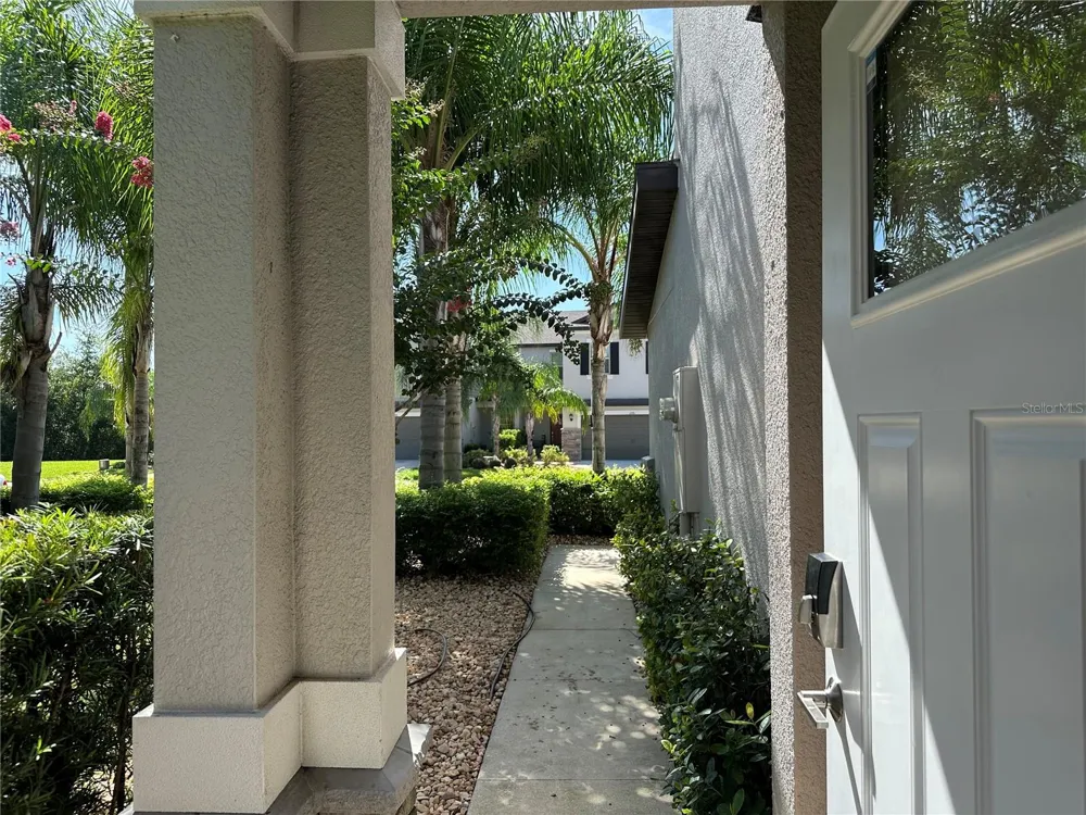 1389 WHITE FOX RUN Lutz, FL 33549
