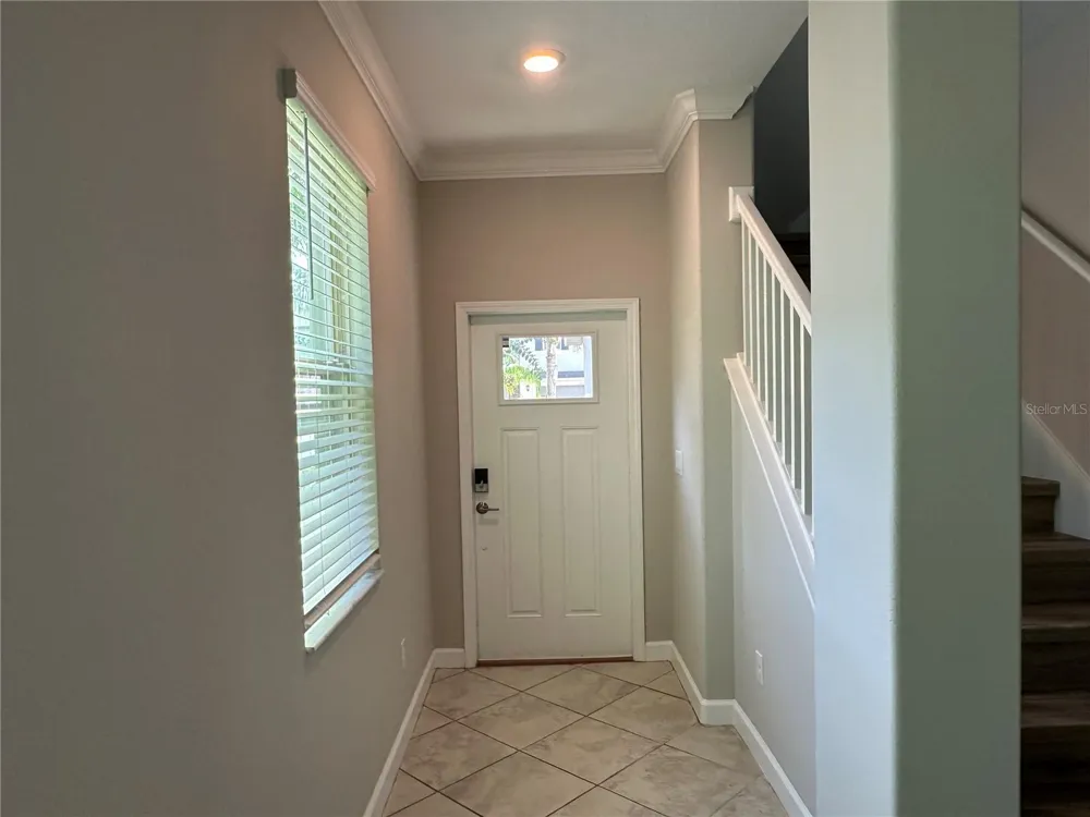 1389 WHITE FOX RUN Lutz, FL 33549