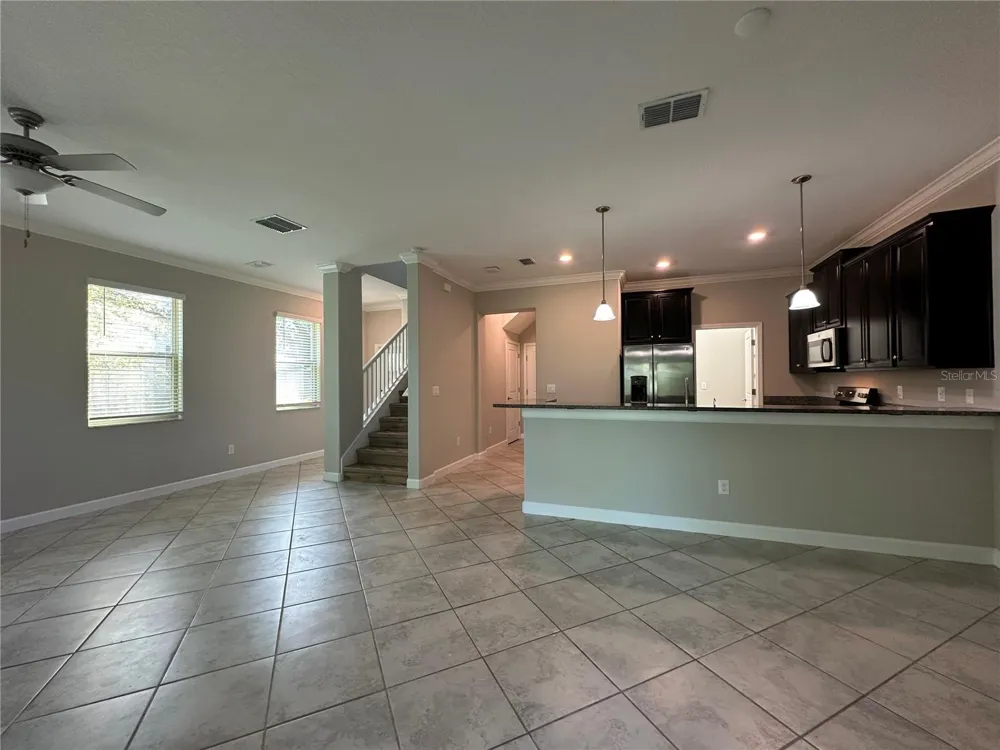 1389 WHITE FOX RUN Lutz, FL 33549