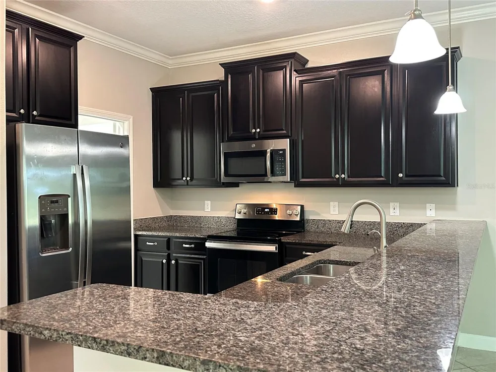 1389 WHITE FOX RUN Lutz, FL 33549
