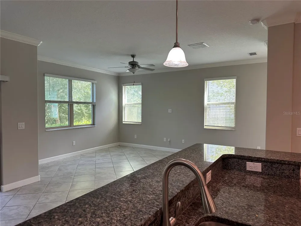 1389 WHITE FOX RUN Lutz, FL 33549
